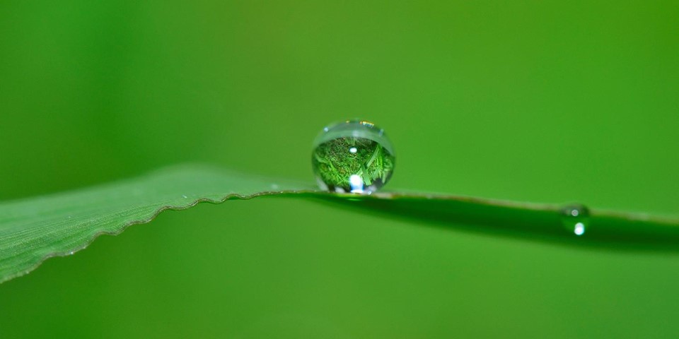 Smart Water - Optimierung der Bewässerung in Kommunen