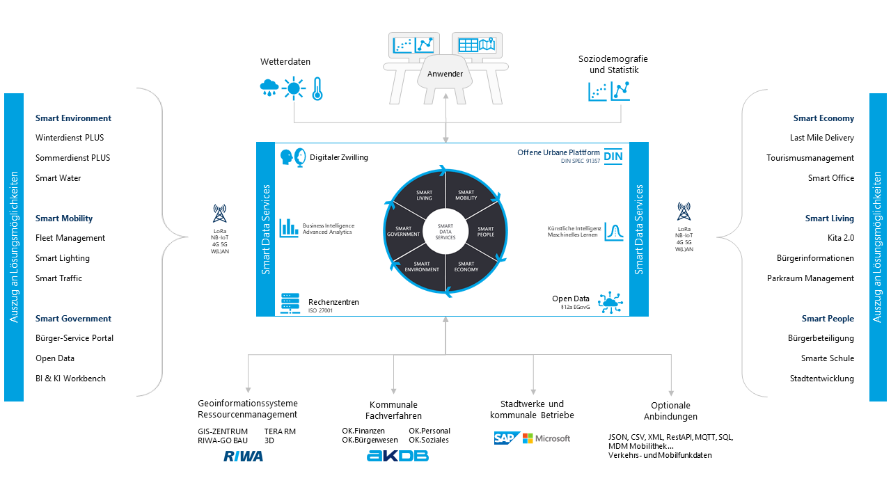 SDS-Schematische-Darstellung-klein